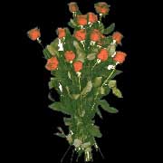7a.jpg (11713 byte)
