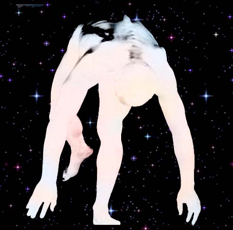 Davidl.jpg (29626 byte)