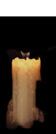 candela.gif (9957 byte)