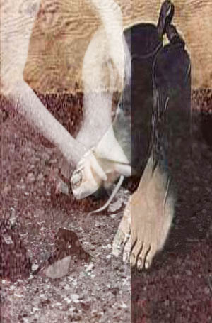 scarpe.jpg (37619 byte)