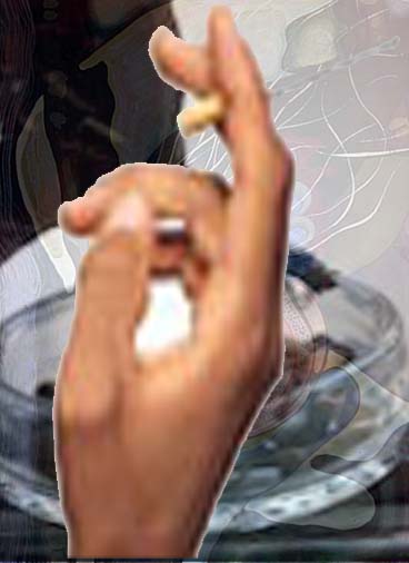 sigaretta.jpg (28040 byte)