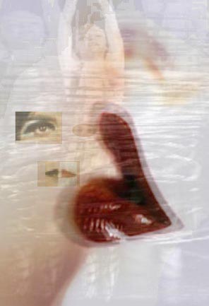 trucco1.jpg (17330 byte)