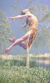 volo.jpg (19625 byte)